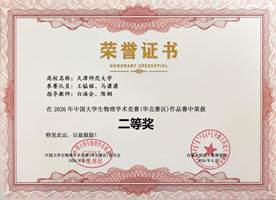 王镒铭赛队二等奖
